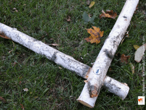 birch branch frame construction bolt