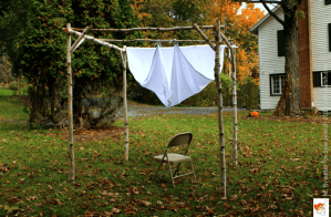 birch wedding chuppah frame