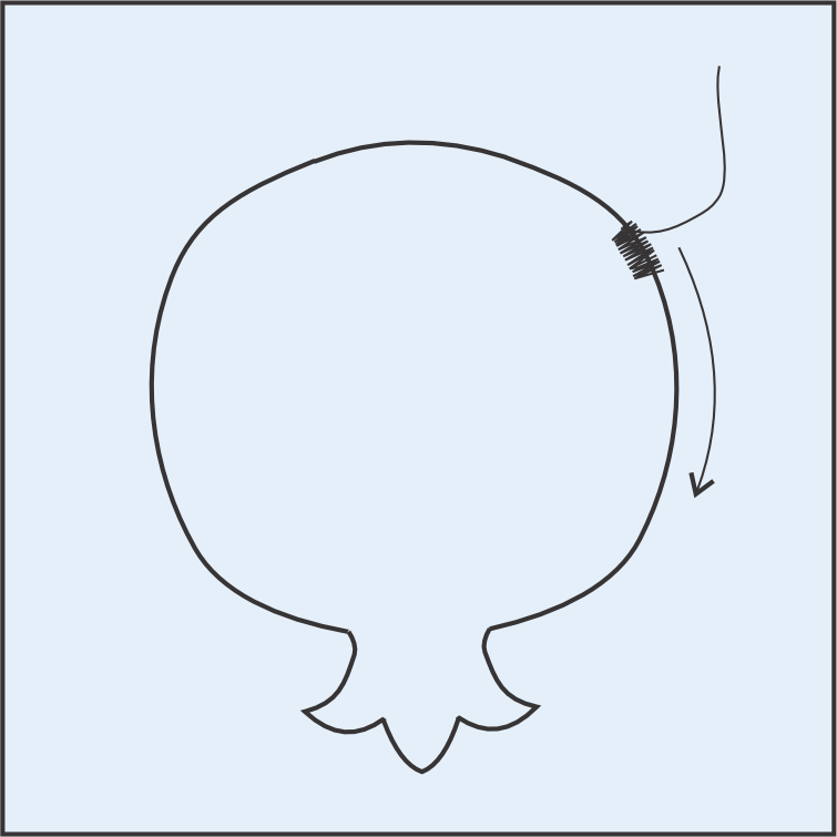 stitch clockwise around the applique